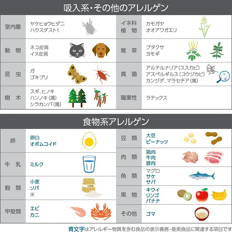 検査項目表